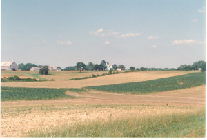 A photograph of the Thompson Farm on Davidsonville Road at Gambrills, where one of the old Linthicum homes is located and was where the senior Thompsons lived. Once part of the Snowden estate at the head of South River, where the resident farmers for the Snowdens resided. Kermit Thompson, who married Betty Donaldson (Chief Wiley’s sister), grew up in this old home.